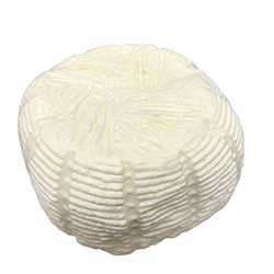 Tuma Cheese