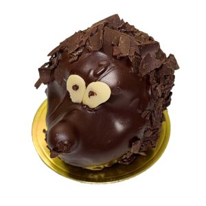 Chocolate Hedgehog