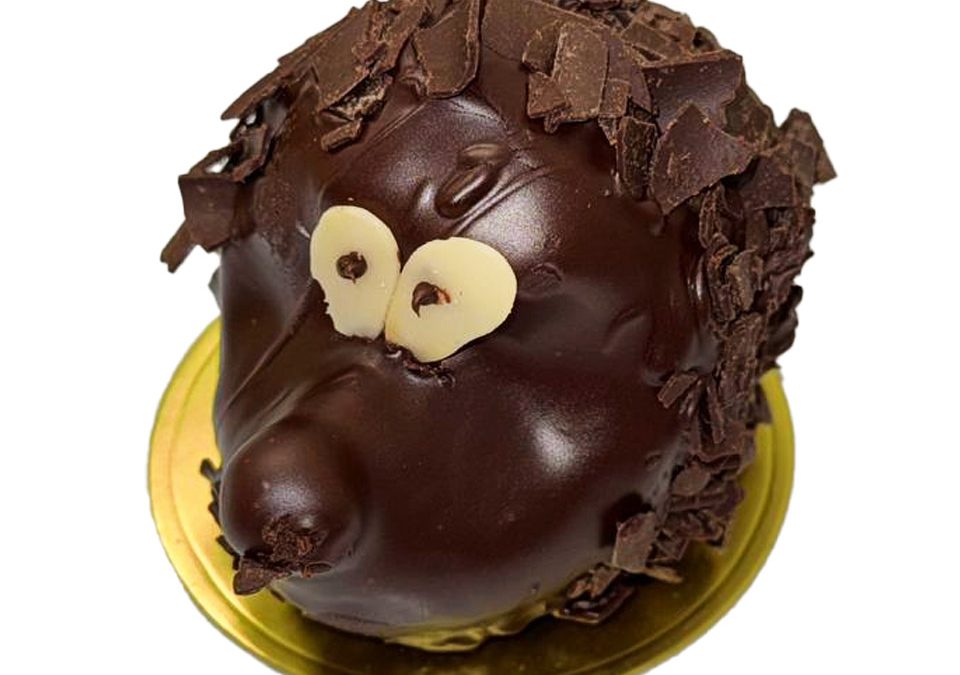 Chocolate Hedgehog
